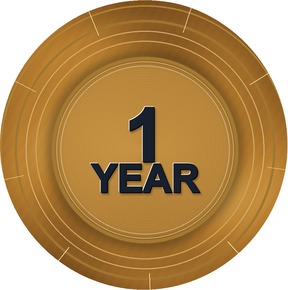 1 Year chip